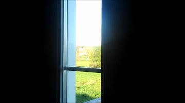 Angry Robin Attacks Window