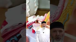 Не чисти ватными палочками уши!