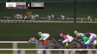 1°/08/26 HIPODROMO MARONAS - EN VIVO -