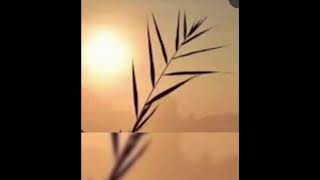 Mənə Başqa Kim Lazimdi Musiqi Fərhad Sintez Səs Fulya