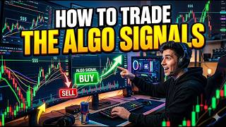 How To Trade The Algo Signals