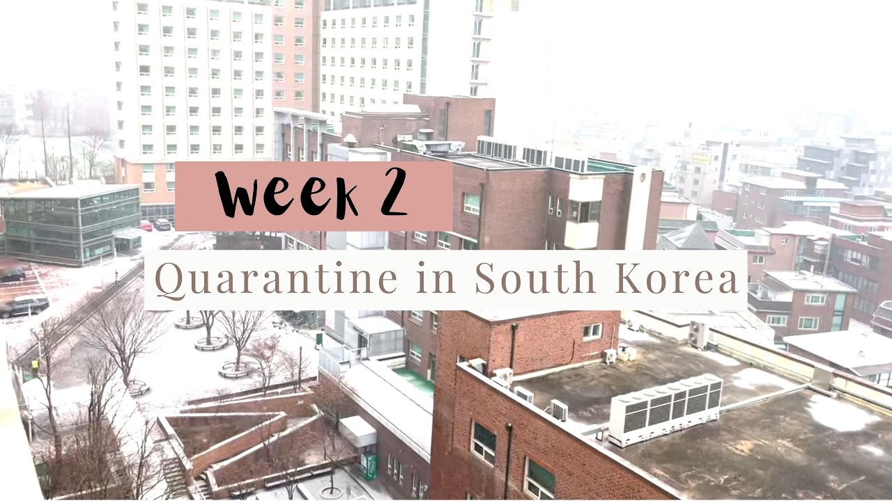 Week 2 of Quarantine in South Korea EPIK Spring 2021 YouTube