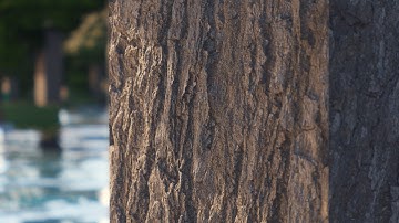 Ultra Realism Minecraft - Stratum 2048x - RTX Ray Tracing - Continuum Shaders