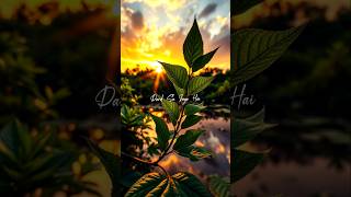 #shots❤️ #romantic song #hindishorts   .    lovesong ☺️ 90s Hit song