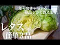 【レタス大量消費】迷ったらコレ！絶品3品教えます。