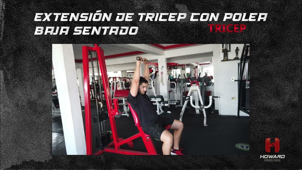 Extensión de Tricep con Polea Baja Sentado YouTube