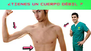 ¿Cuál es el músculo más débil del cuerpo?