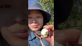 Dreamy Northern California Farm Retreat