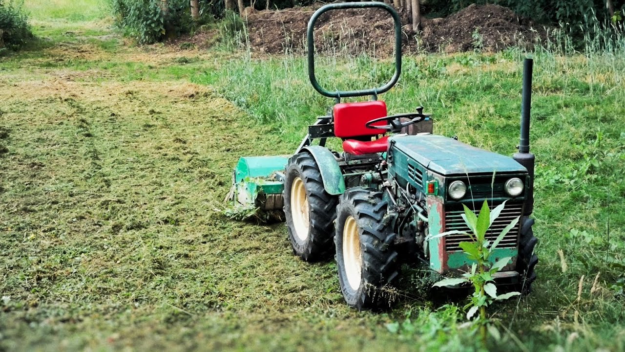 Brachfläche mulchen, Holder A30, Schlegelmulcher
