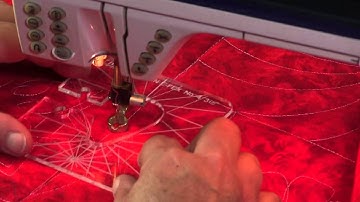 Spin e fex No 4 Template