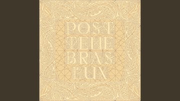 Circadian Rhythm (Industrial Loop)