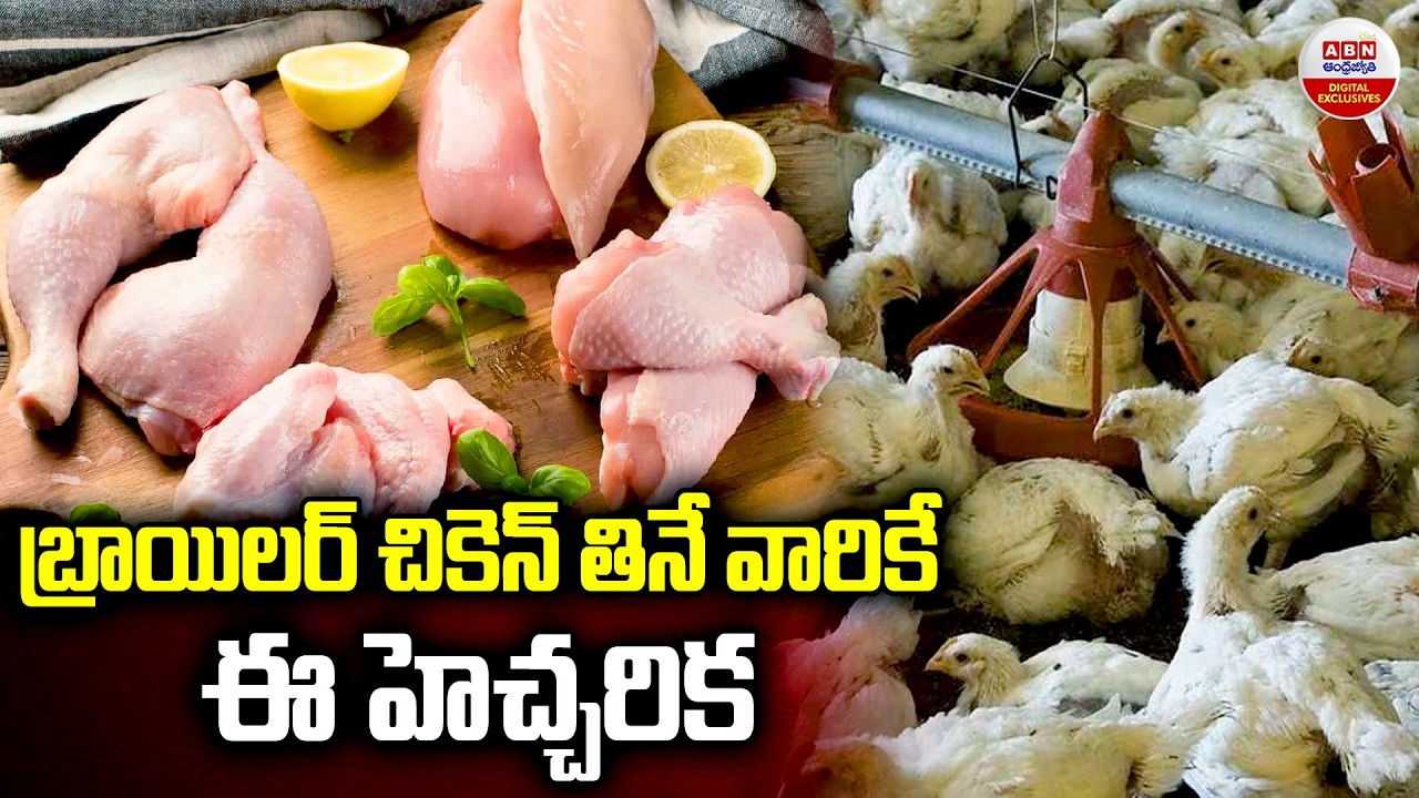 బ్రాయిలర్ చికెన్ తినే వారికే ఈ హెచ్చరిక |  Side Effects Of Eating Broiler | ABN Digital