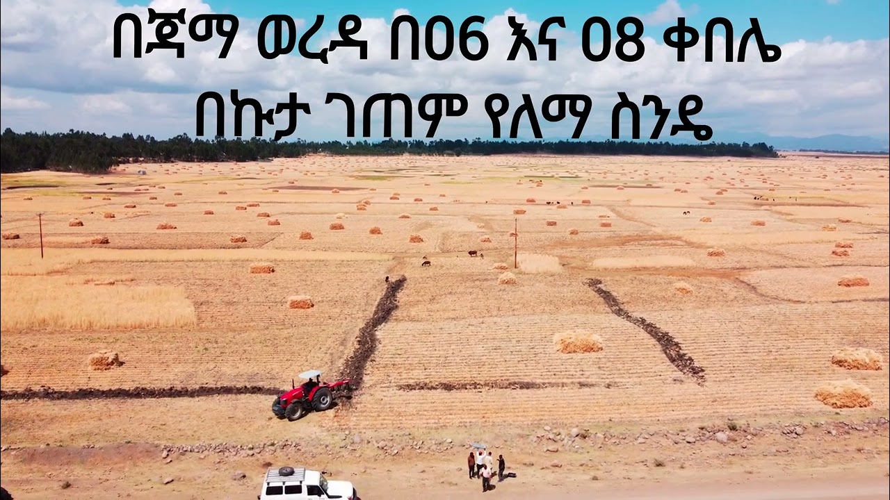 በደቡብ ወሎ ዞን ጃማ ወረዳ በ06 እና 08 ቀበሌ በኩታ ገጠም የለማ ስንዴ