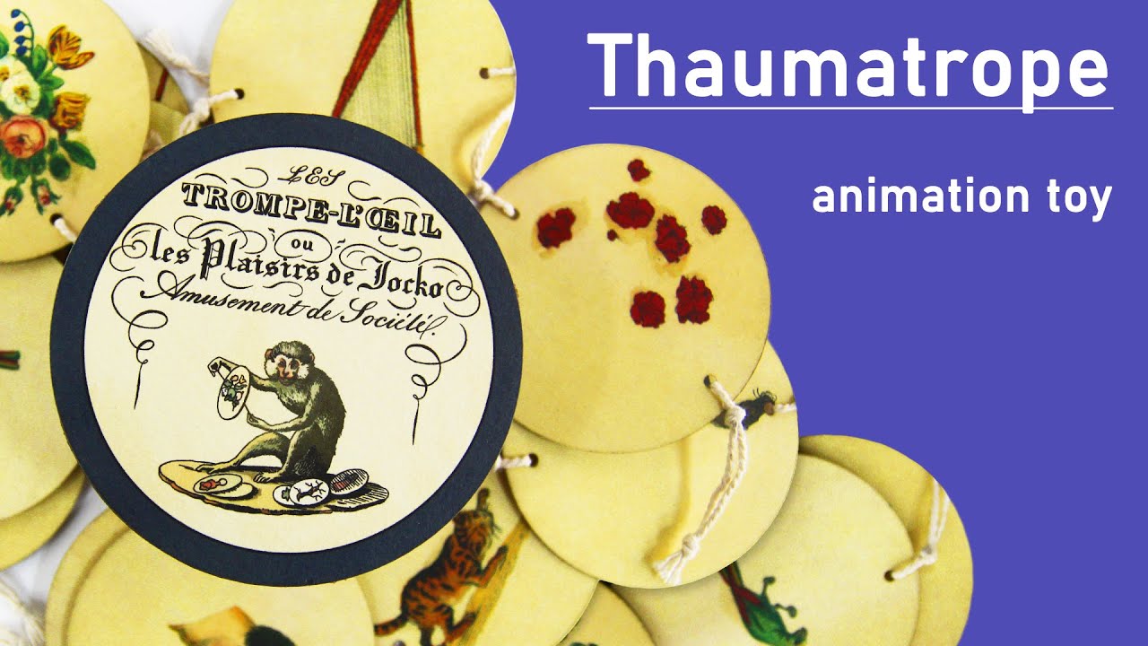 Thaumatrope. Optical animation device of 19 century. Gift set for sale. Buy your toy