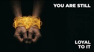 Celebrity Why You Keep Attracting The Same Person (The Psychology of Familiar Love) Net Worth