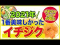【イチジク 】シャーアンバー 秋果レビュー 2021年最高評価のいちじくを紹介します！（イチジク の育て方