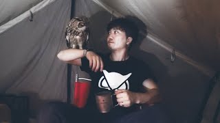 [English sub] The first solo camp with a pet owl