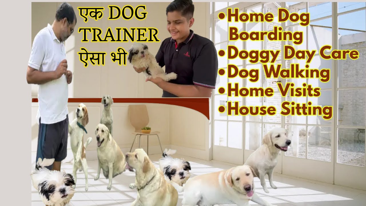 DOG BOARDING GURGAON II BEST DOG TRAINING SCHOOL II dog doglover 