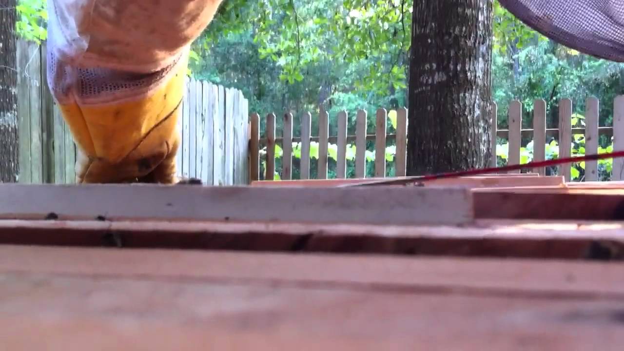 Hive Inspection - Removing Drone Comb