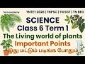 Class6 Term1 The Living world of Plants Important points #specialtet2026 #tnpscscienceinenglish