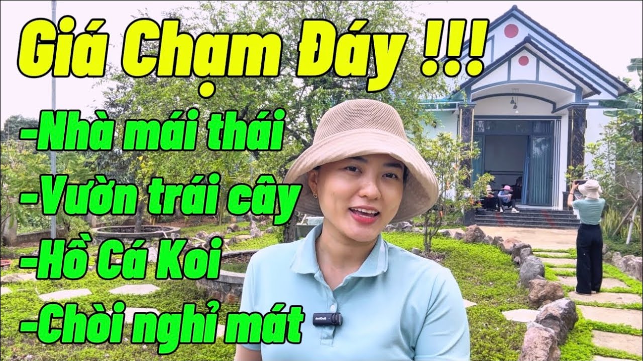 HOT! Tiếp tục giảm giá căn nhà mái thái có vườn trái cây, hồ cá coi, chòi nghỉ mát |NHÀ ĐẤT ĐỒNG NAI
