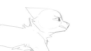 Epiphany | ROUGH/SHORT ANIMATIC |