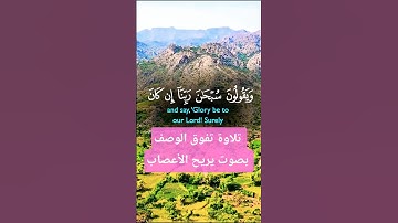 تلاوة خاشعة بصوت يريح الأعصاب #elmulquranعلم #قران_كريم #راحة_نفسية #اكسبلور #trend #duet