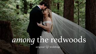 Redwoods Romance at The Mountain Terrace screenshot 2