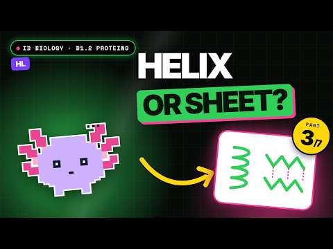 Alpha Helix & Beta Sheet: Protein Structure