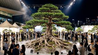 Seoul’s Night Bonsai Festival Feels Unreal — Light, Shadow & Living Art