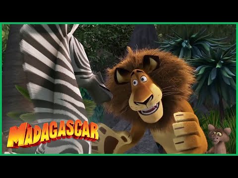 DreamWorks Madagascar em Português | Alex Salva o Dia | Desenhos Animados