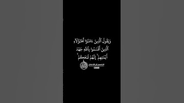 ماهر المعيقلي - سورة المائدة ( برواية حفص عن عاصم ) الأية 53