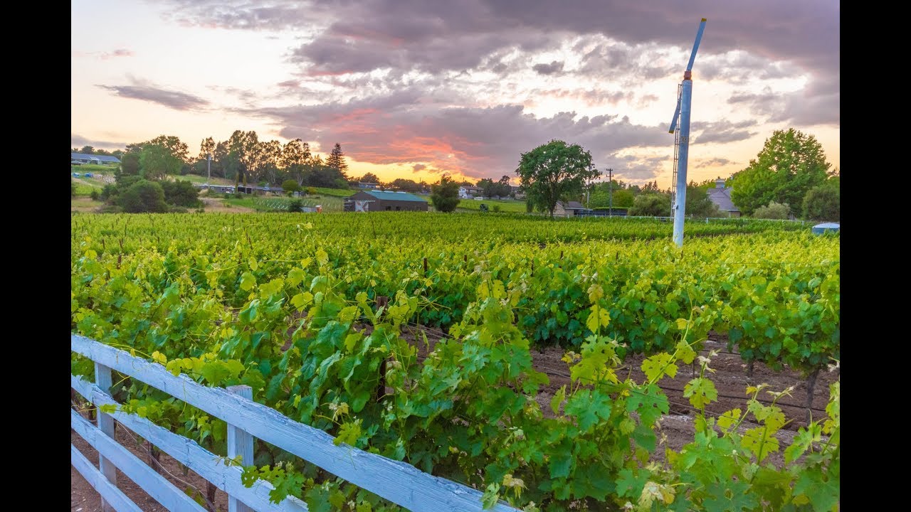 1543 Estee Avenue Napa Vineyard Estate for Sale YouTube