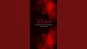 تلاوة قصيرة ( حالة واتساب و انستقرام ) بصوت / يوسف الصقير ( من سورة المجادلة )