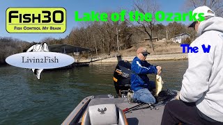 Fat Bass are Eating in the Livin2Fish Bass Tournament at Lake of the Ozarks Vlog screenshot 5