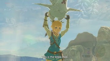 How To Mod Wii u Games (BOTW)