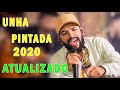 UNHA PINTADA JUNHO 2020 - SAO JOAO ESPERANDO