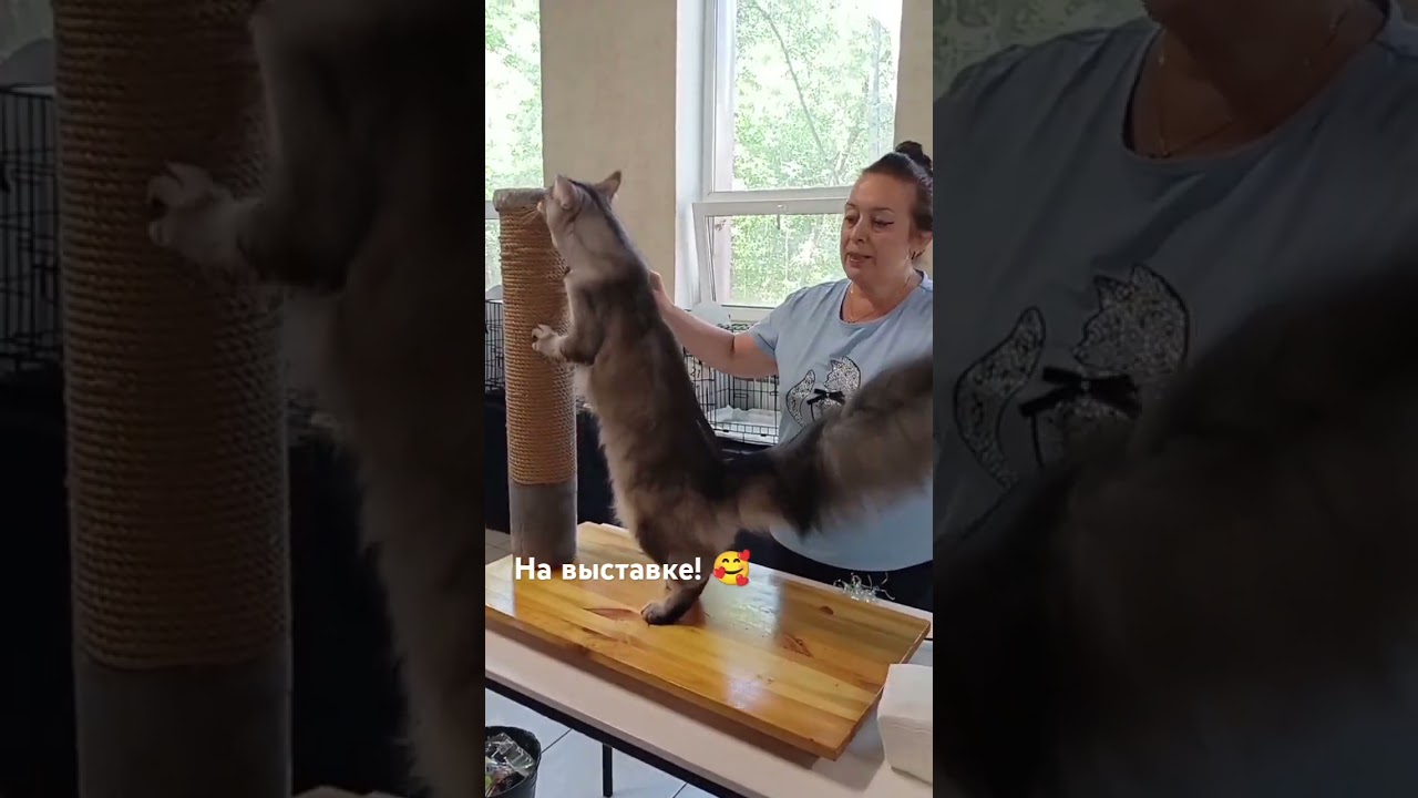 Estrella Refined Miracle*RU - королева красоты! 😍 