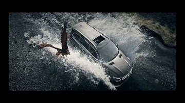 Prajval Texture/lookDev VFX Production Reel 2019