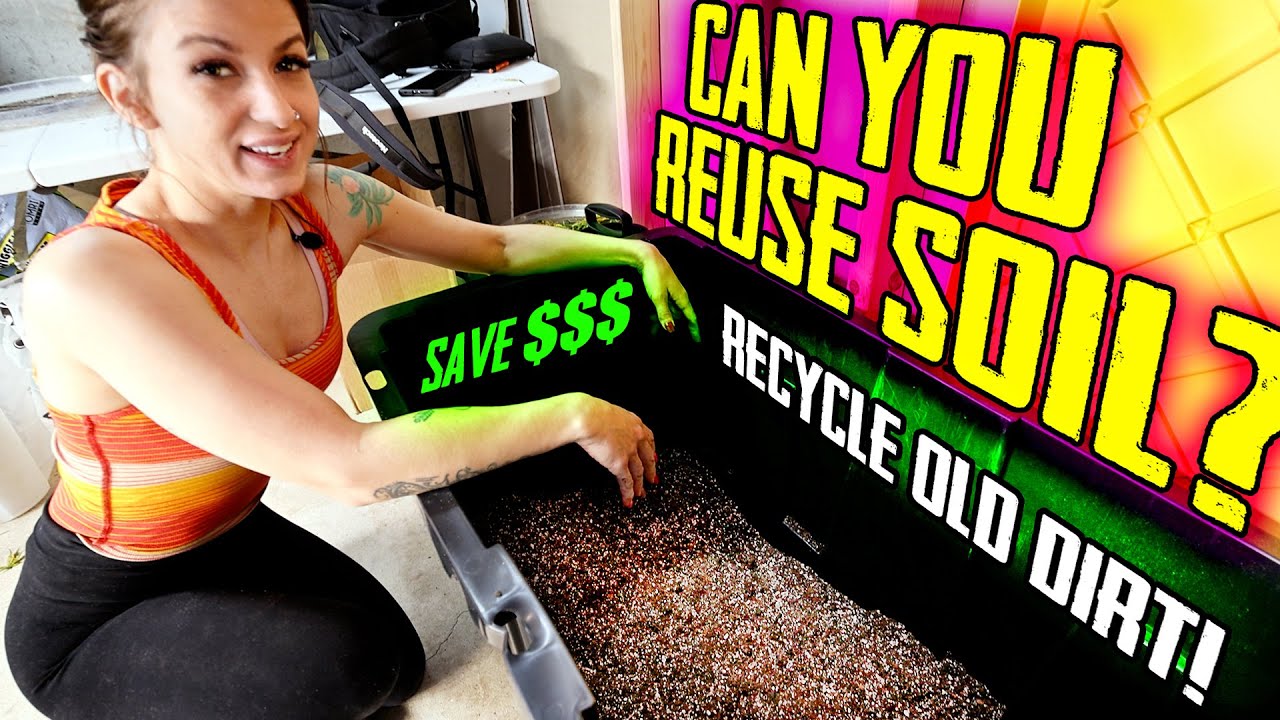 Can you reuse old soil? Recycling old soil at home!