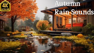 Autumn Rain In forest 4K - Relaxing Nature Video and Rain Sounds - Golden season in October by Enjoy Nature 123 views 6 months ago 23 hours