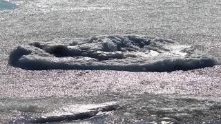 2018 Frozen Ocean - West Dennis Beach Cape Cod