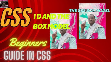 The CSS Box Model