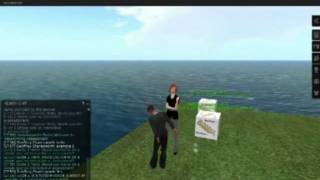 scripted prim for interactive quiz in second life