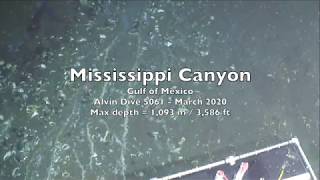 Mississippi Canyon - 5061