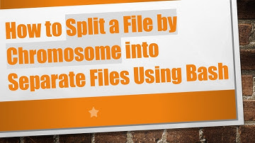How to Split a File by Chromosome into Separate Files Using Bash
