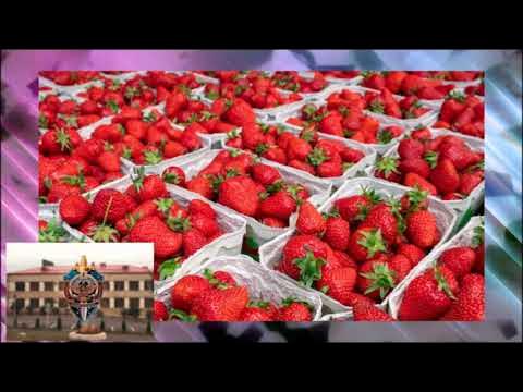 Турецкая продукция завезена в Арцах из Армении – СНБ - YouTube