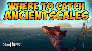 Where To Catch Ancientscales Guide | Anniversary Update | Sea of Thieves