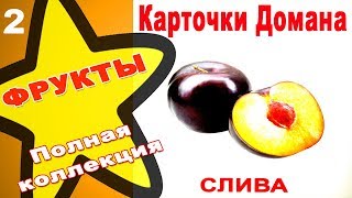 Карточки Домана Фрукты часть 2