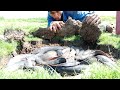 WOW ' incredible catch catfish in hole doing the dry season..